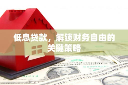 阳春低息贷款，解锁财务自由的关键策略
