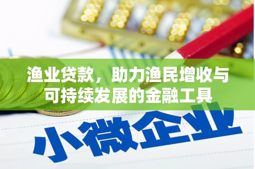 阳春渔业贷款，助力渔民增收与可持续发展的金融工具