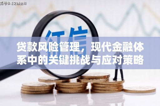 阳春贷款风险管理，现代金融体系中的关键挑战与应对策略