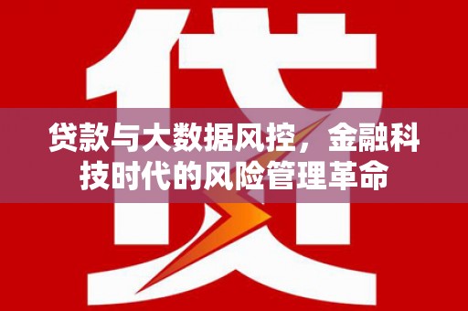 阳春贷款与大数据风控，金融科技时代的风险管理革命