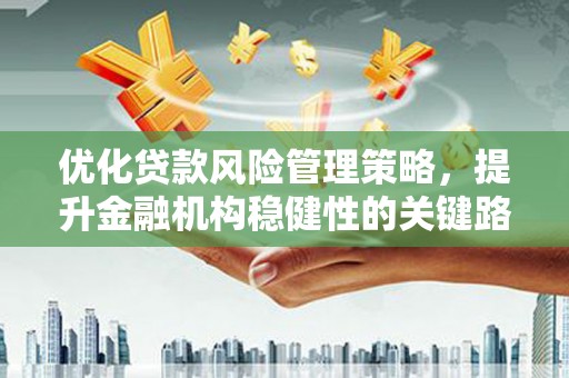 阳春优化贷款风险管理策略，提升金融机构稳健性的关键路径