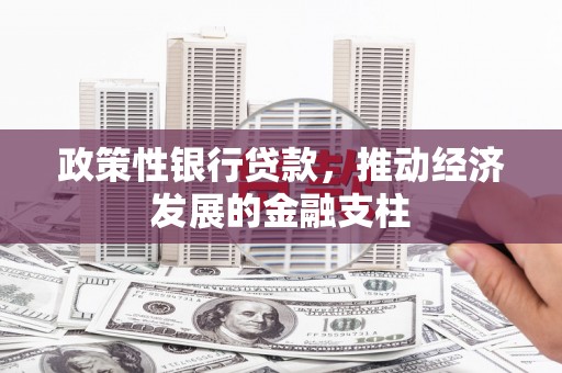 阳春政策性银行贷款，推动经济发展的金融支柱