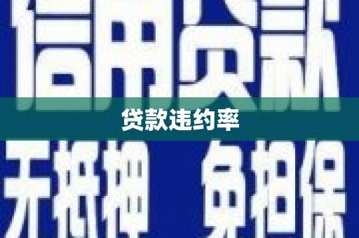 阳春贷款违约率