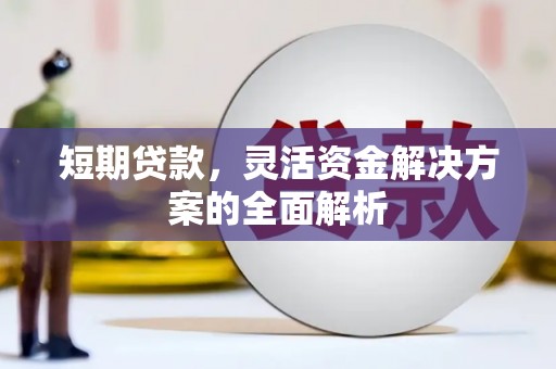 阳春短期贷款，灵活资金解决方案的全面解析