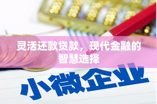 阳春灵活还款贷款，现代金融的智慧选择