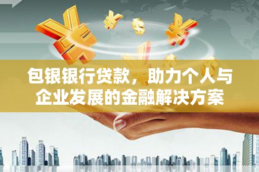 阳春包银银行贷款，助力个人与企业发展的金融解决方案
