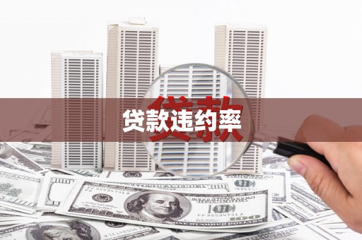 阳春贷款违约率