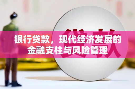 阳春银行贷款，现代经济发展的金融支柱与风险管理