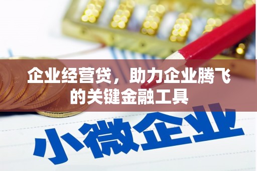 阳春企业经营贷，助力企业腾飞的关键金融工具