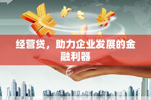阳春经营贷，助力企业发展的金融利器