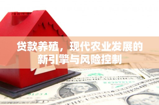 阳春贷款养殖，现代农业发展的新引擎与风险控制
