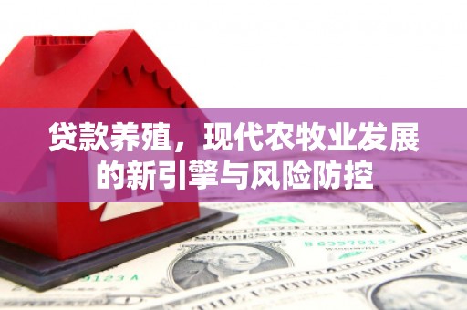 阳春贷款养殖，现代农牧业发展的新引擎与风险防控