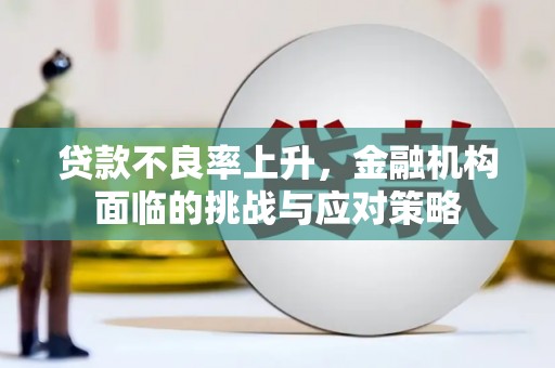 阳春贷款不良率上升，金融机构面临的挑战与应对策略