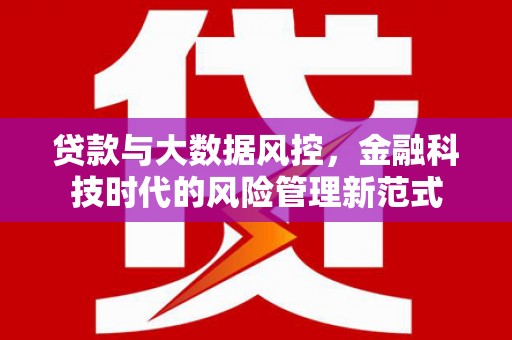 阳春贷款与大数据风控，金融科技时代的风险管理新范式
