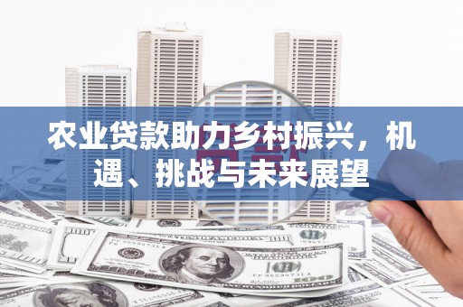 阳春农业贷款助力乡村振兴，机遇、挑战与未来展望