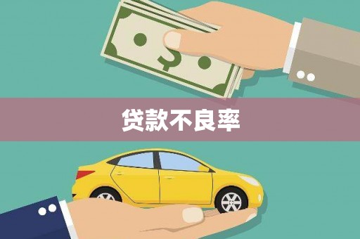 阳春贷款不良率