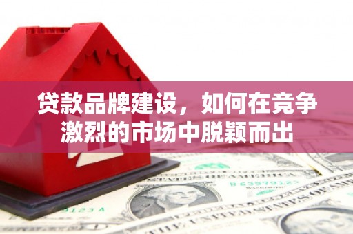 阳春贷款品牌建设，如何在竞争激烈的市场中脱颖而出