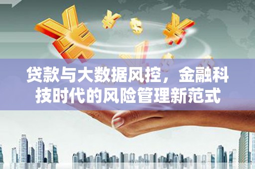 阳春贷款与大数据风控，金融科技时代的风险管理新范式