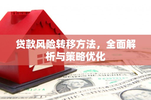 阳春贷款风险转移方法，全面解析与策略优化