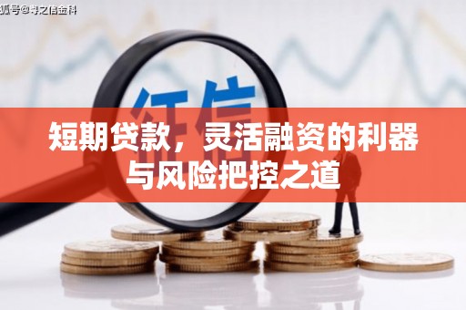 阳春短期贷款，灵活融资的利器与风险把控之道