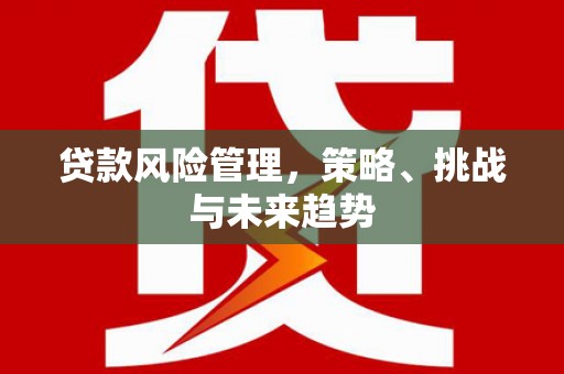 阳春贷款风险管理，策略、挑战与未来趋势