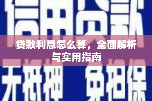 阳春贷款利息怎么算，全面解析与实用指南