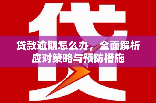 阳春贷款逾期怎么办，全面解析应对策略与预防措施