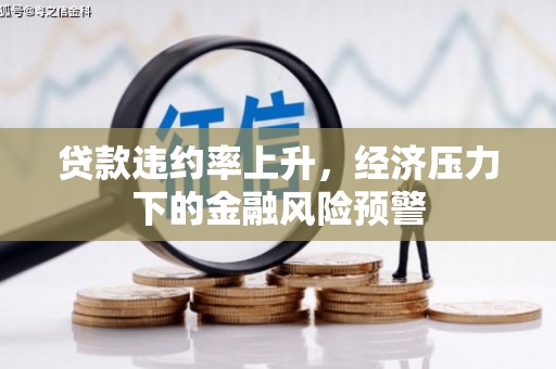 阳春贷款违约率上升，经济压力下的金融风险预警
