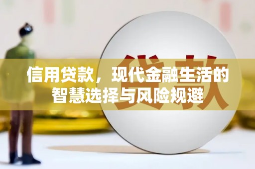 阳春信用贷款，现代金融生活的智慧选择与风险规避