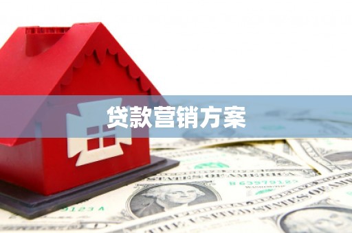 阳春贷款营销方案