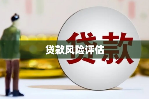 阳春贷款风险评估