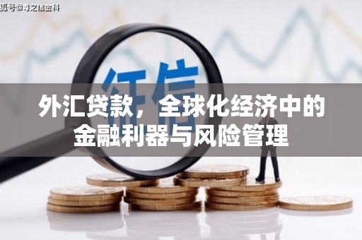 阳春外汇贷款，全球化经济中的金融利器与风险管理