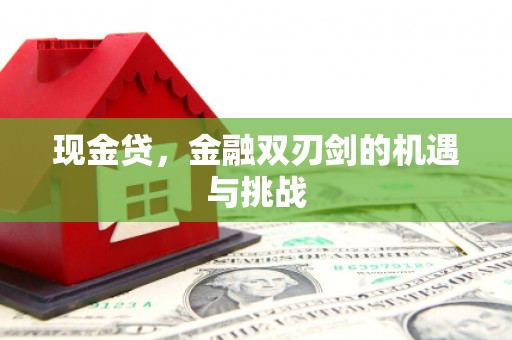 阳春现金贷，金融双刃剑的机遇与挑战