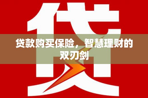 阳春贷款购买保险，智慧理财的双刃剑