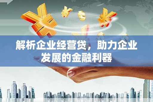 阳春解析企业经营贷，助力企业发展的金融利器