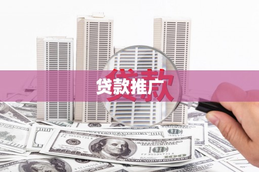 阳春贷款推广