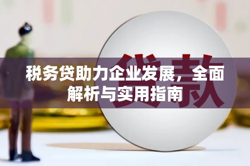 阳春税务贷助力企业发展，全面解析与实用指南