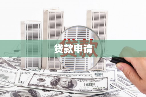 阳春贷款申请