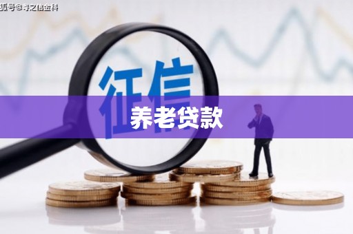 阳春养老贷款