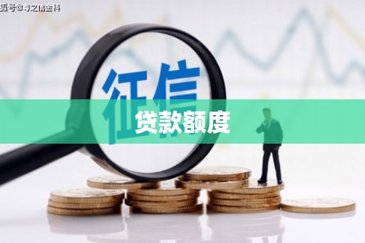 阳春贷款额度