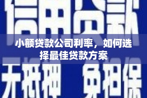 阳春小额贷款公司利率，如何选择最佳贷款方案