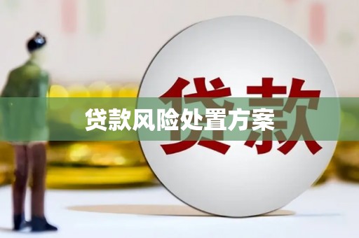 阳春贷款风险处置方案