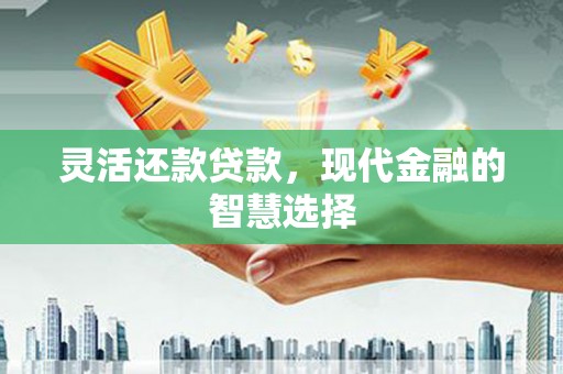 阳春灵活还款贷款，现代金融的智慧选择