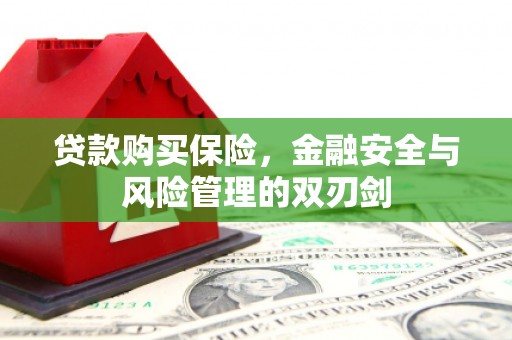 阳春贷款购买保险，金融安全与风险管理的双刃剑