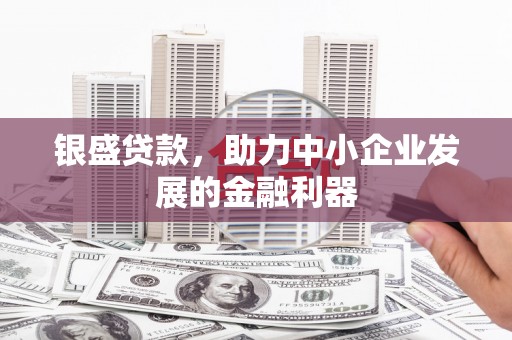 阳春银盛贷款，助力中小企业发展的金融利器