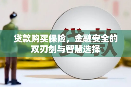 阳春贷款购买保险，金融安全的双刃剑与智慧选择
