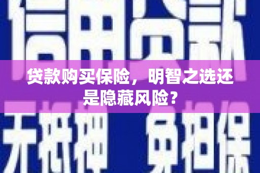 阳春贷款购买保险，明智之选还是隐藏风险？