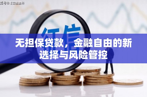 阳春无担保贷款，金融自由的新选择与风险管控