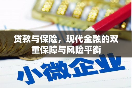 阳春贷款与保险，现代金融的双重保障与风险平衡