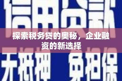 阳春探索税务贷的奥秘，企业融资的新选择